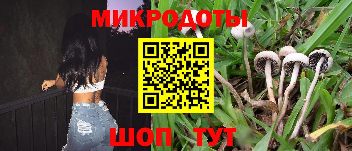 Галлюциногенные грибы GOLDEN TEACHER  Псилоцибиновые грибы Psilocybine cubensis  Саяногорск  Вход с VPN 